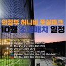 허니비풋살파크