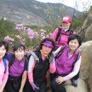 탁구 초급반 이미지