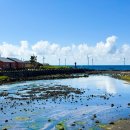 금성리 경로당 이미지