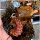 황금덕장(경주불국사점)