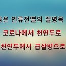 코로나에서 천연두로 이어서 급살병 이미지