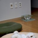 모두애동물병원 이미지