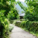 동림1리 이미지