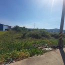 대산공설시장 이미지