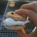 보람관광 이미지