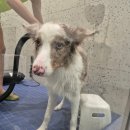 놀로 아쿠아센터 이미지