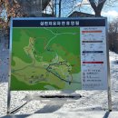 금산 한마음심천캠핑랜드 2S1사이트 애견동반 동계캠핑 후기