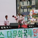 상록수