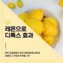 다이어트리스