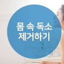 수바디 이미지