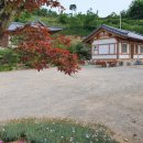 금국농장 이미지