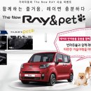 레이 펫 이미지