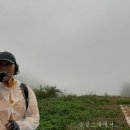 신읍리율대 이미지