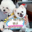 빌리지 피어 이미지