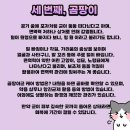 81. 고양이 정보 (피부병 6가지) 이미지