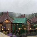 석모 포레 이미지