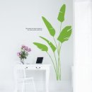 쿨디자인