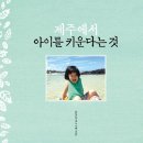 아이로제주 이미지