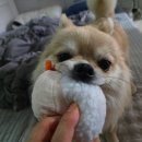 구멍가개 이미지