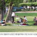 GO렌탈 이미지