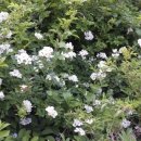 고향산천농장 이미지