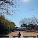 솔의정원 | [경주 카페] 아이랑 가기 좋은 대릉원 옆 정원 넓은 한옥 &#39;카페 솔&#39;