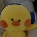제이에이치엘로펌애비뉴빌딩 | 교대역왁싱 벨슈가링왁싱 첫 브라질리언왁싱