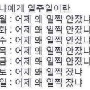 피스플라워 이미지