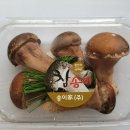 싱그린농원 - 청도군 봉기로 60 | 싱그린농원