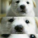 베러유