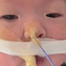 대한민국토속문화굿보존회