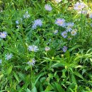 손곡어린이공원 이미지