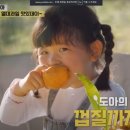 제일농장C 이미지