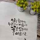 캘리그라피(취미) 이미지