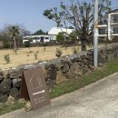 제주서채 이미지