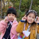 솔바람 유아숲체험원 이미지