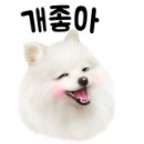 아이디덴탈 이미지
