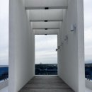 리벤티아 | 강원도 강릉 가성비 감성 숙소 리벤티아 풀빌라
