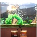 레트로카페 이미지