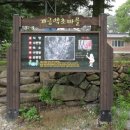 개금약초