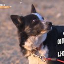 삼남매목장 2 이미지