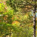 판교골드공인중개사사무소 이미지