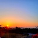 애월 밤별 이미지