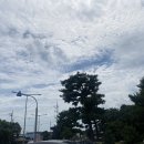 일로스탠다드 이미지