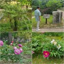 수목원 입구 | ☆여주 황학산 수목원 산책 후기, 경기도 무료 수목원 추천