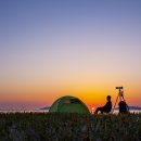 기억 여행- 즐거운 이미지