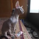 (주)신한은행 - 15097 | (주)신한은행