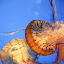 현광1농장 이미지