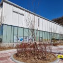 김천시청 화장실(1층) | 김천 삼성서비스센터 폰 액정 수리