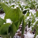 명이농장 이미지